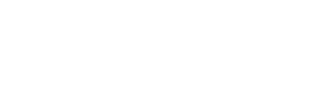 Nisha WebTech Solutions